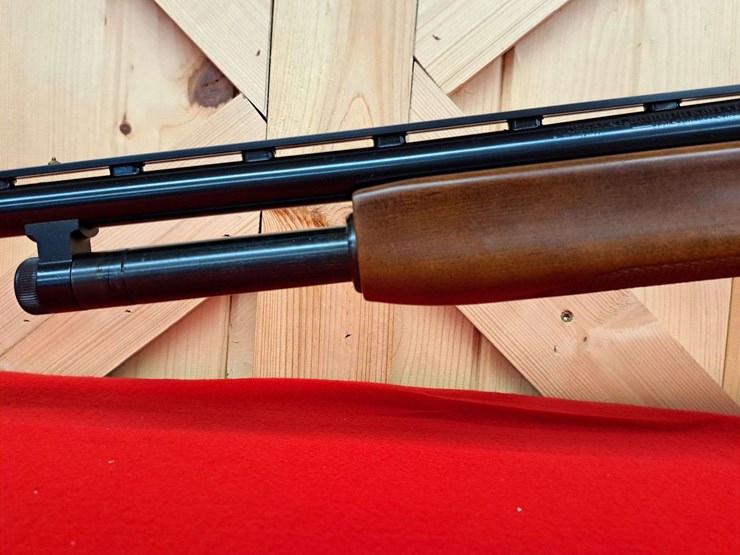 special-limited-edition-mossberg-model-500-dove-&-quail-special-20-gauge-pump-shotgun-image-3