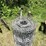 #3302-•-wire-fencing-and-tomato-cages-image-11