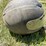 #3234-•-(2)-helmets-image-17