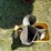 #3306-•-assortment-of-metal-and-plastic-funnels-image-9