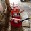 #3348-•-(4)-poly-gas-cans-image-8