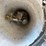 #4052-•-metal-cart,-sheet-metal,-buckets,-and-sunflower-heater-image-4