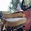 #1020-•-farmall-656-gas-tractor-(augusta,-wi)-image-36