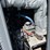 2011-generac-35-kw-image-14
