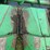 #1935-•-john-deere-(4)-row-corn-head-image-15