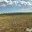 valley-8000-9-tower-pivot-image-8