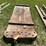 #3225-•-vintage-wood-sled-image-2