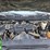 2017-ford-f350-image-15