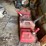 #3348-•-(4)-poly-gas-cans-image-9