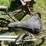 #3299-•-(2)-vintage-bikes-image-21