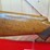 browning-a5-light-twelve-12-gauge-semiauto-shotgun-image-15