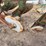 john-deere-three-point-three-bottom-plow-image-14