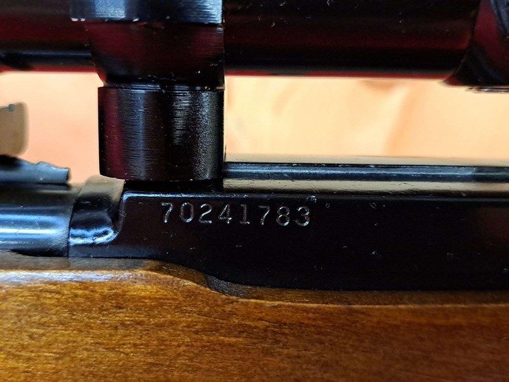 marlin-glenfield-model-75-.22-lr-semiauto-rifle-image-7