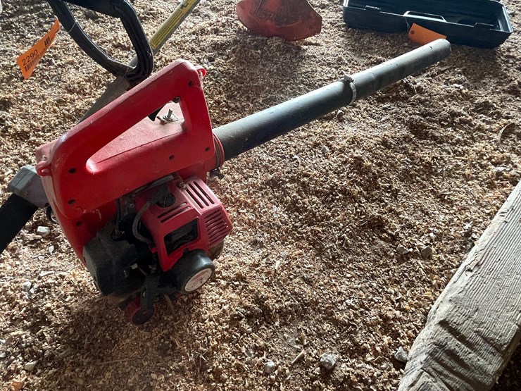 #2290-•-stihl-fs36-weed-wacker-and-dayton-leaf-blower-image-4