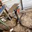 #3319-•-hydraulic-stand-on-wheels-image-2