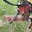 #1033-•-hew-holland-790-chopper-with-hay-head-image-14