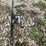 #3355-•-(2)-storage-shop-tool-organizers-and-fishing-poles-image-12
