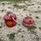 #3345-•-(2)-metal-gas-cans-image-1