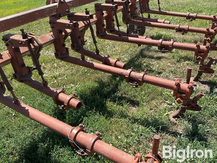 lilliston-rolling-cultivator-image-17