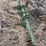 five-shank-subsoiler-image-2