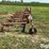 lilliston-rolling-cultivator-image-4