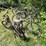 #3299-•-(2)-vintage-bikes-image-7