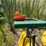 redball-420-image-44