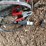#2293-•-(2)-battery-charger-image-3