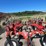 #1028-•-h&s-(12)-wheel-rake-image-23