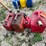 #3342-•-(4)-poly-gas-cans-image-6