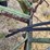 john-deere-pull-type-three-bottom-plow-image-19