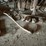 #2319-•-wall-section-of-vintage-farm-tools-image-6