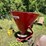 #3307-•-king-kutter-500-spreader-image-4