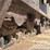 hyundai-hx235-lcr-image-13