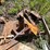 #3241-•-(7)-various-boat-anchors-image-9