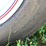 #1019-•-bayliner-capri-boat-on-escort-trailer-(no-title,-for-parts)-image-12