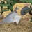 john-deere-pull-type-three-bottom-plow-image-16