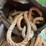 #4067-•-assorted-rope-and-ratchet-straps-image-3