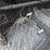 bobcat-3600-image-19