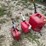 #3341-•-(3)-poly-gas-cans-image-7