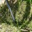 #3303-•-metal-table-and-(7)-trailer-springs-image-12