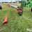 vertical-unload-auger-image-8