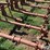 lilliston-rolling-cultivator-image-15