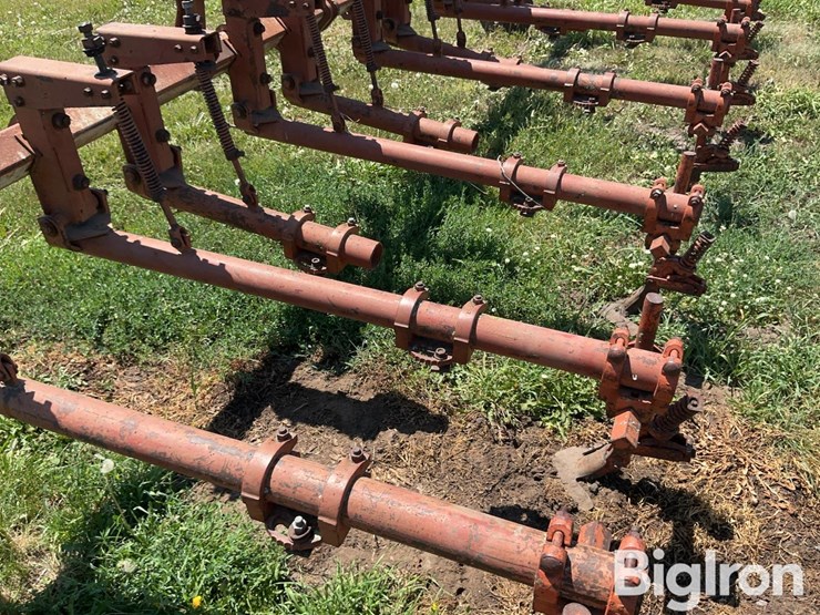 lilliston-rolling-cultivator-image-15