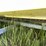 #3221-•-bayliner-capri-5.0l-boat-and-escort-trailer-(no-title)-image-38