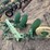 john-deere-three-point-three-bottom-plow-image-4
