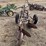 john-deere-two-bottom-plow-image-23