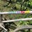 #3299-•-(2)-vintage-bikes-image-18