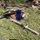 #3240-•-snow-shovels-and-vintage-trike-image-2