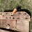 #3225-•-vintage-wood-sled-image-11